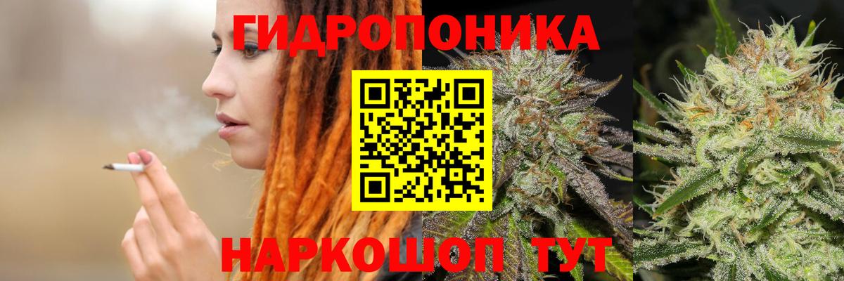 МАРИХУАНА гибрид Заводоуковск